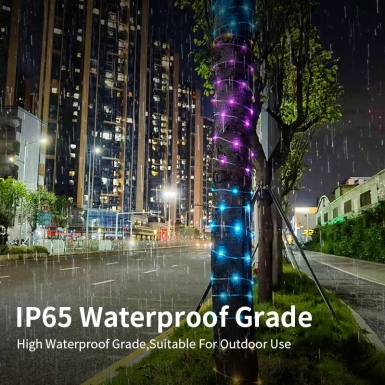 LED圣诞灯 - HCP150 LED透明皮线灯